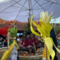 Filosofi Mendalam Kembang Dermo, Jiwa Spiritual Sakral di Balik Pagelaran Gandrung Sewu 2026