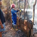 Banyuwangi Dikepung Kebakaran Lahan, 4 Kambing Mati Terpanggang