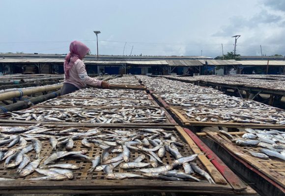 IMG-20261028-WA0036 Ikan Asin Banyuwangi Tembus 50 Ton Sebulan, Muncar Jadi Sentra Utama