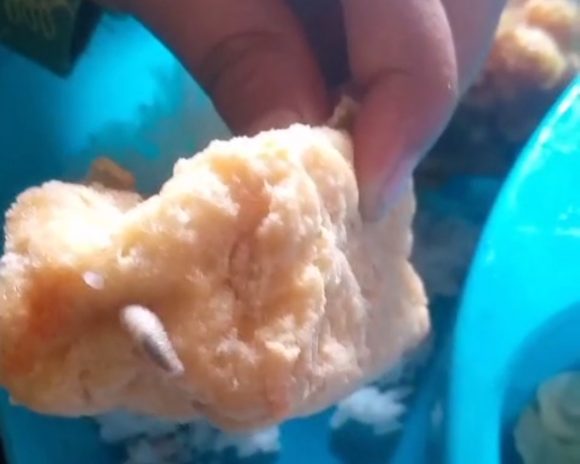 IMG_20261008_190256 Viral Video Belatung Diduga dari Menu MBG di Sempu Banyuwangi, Ini Penjelasan Pihak SPPG