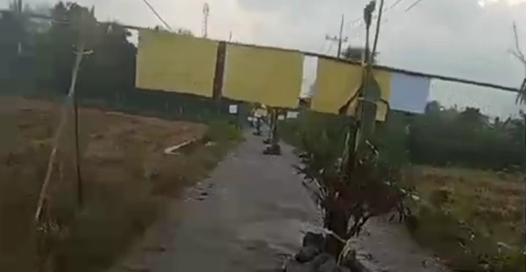 Warga Gambiran Banyuwangi Minta Kepastian Perbaikan Jalan, Pohon Pisang Jadi Protes
