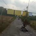 Warga Gambiran Banyuwangi Minta Kepastian Perbaikan Jalan, Pohon Pisang Jadi Protes